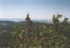 nizketatry33